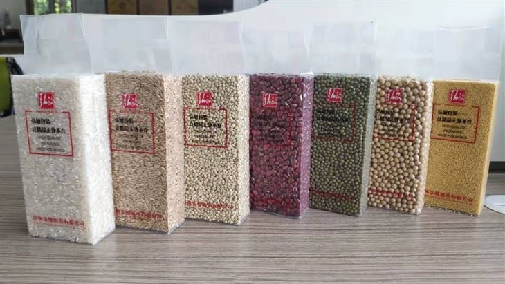 Four Station Vacuum Packing Machine For Brick Shape